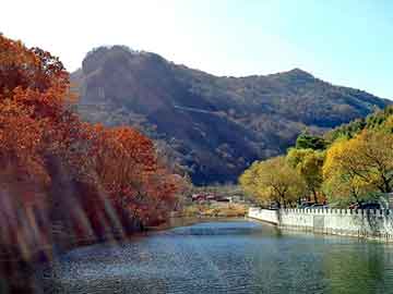 天天彩好彩天天免费，湘西野鸡苗